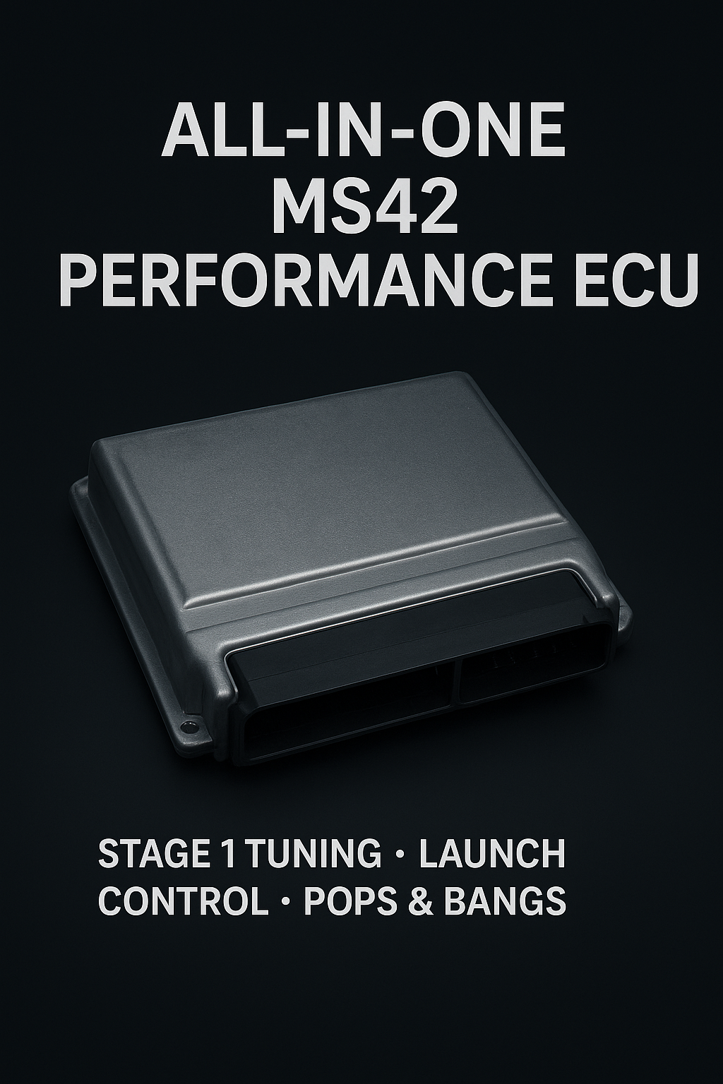 All-in-One MS42 Performance ECU – Stage 1